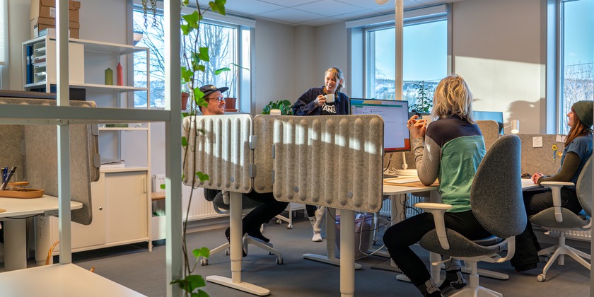 Fyra perosner sitter vid varsitt skrivbord.